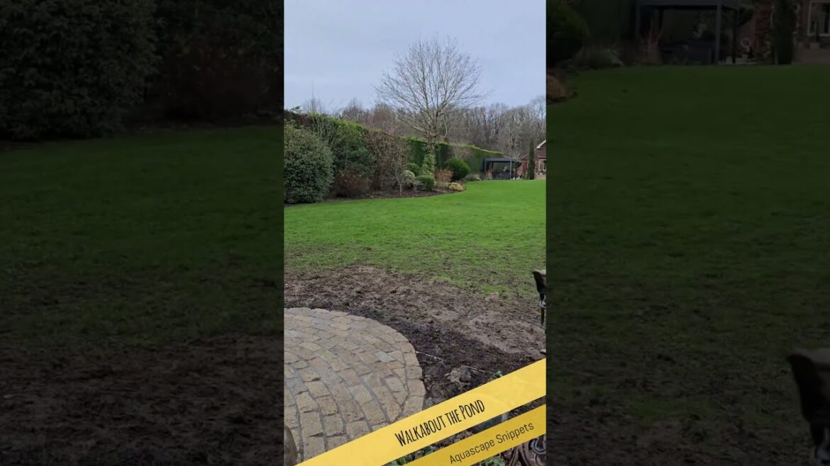 Walkabout the Pond – Aquascape and Landscaping #welwyn Walkabout the Pond - Aquascape and Landscaping #welwyn