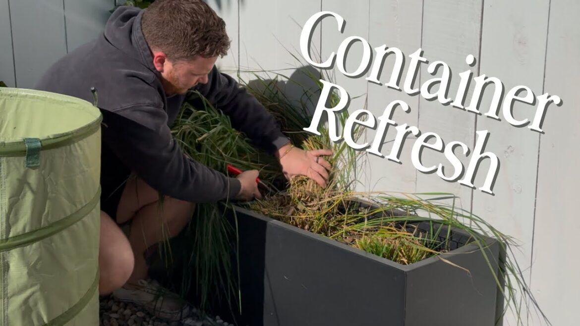 Planting Ornamental Grasses and Refreshing A Big Container 🌾