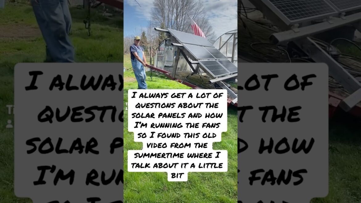 Solar powered greenhouse #garden #greenhouse vegetablegarden#vegetablegardening