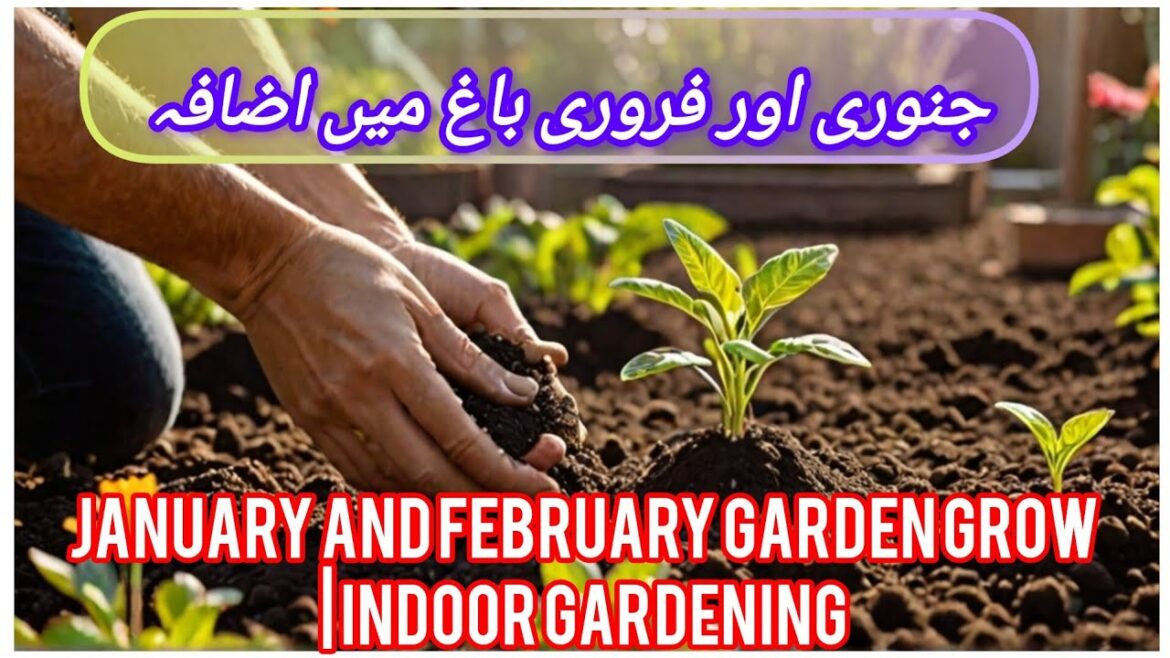 JANUARY AND FEBRUARY GARDEN GROW | INDOOR GARDENING | VEGETABLES GARDEN IDEAS.