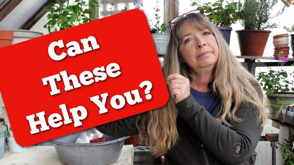 10 Plants to Improve Soil Health - Budget Gardening Tips