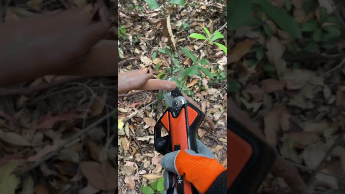 Electric pruning shears: The versatile tool for all your gardening needs. #tools #pruning #kebtek