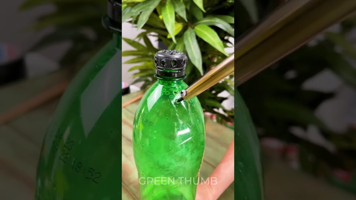 Surprising Planting Tips Every Gardener Should Know and Try! Surprising Planting Tips Every Gardener Should Know and Try!