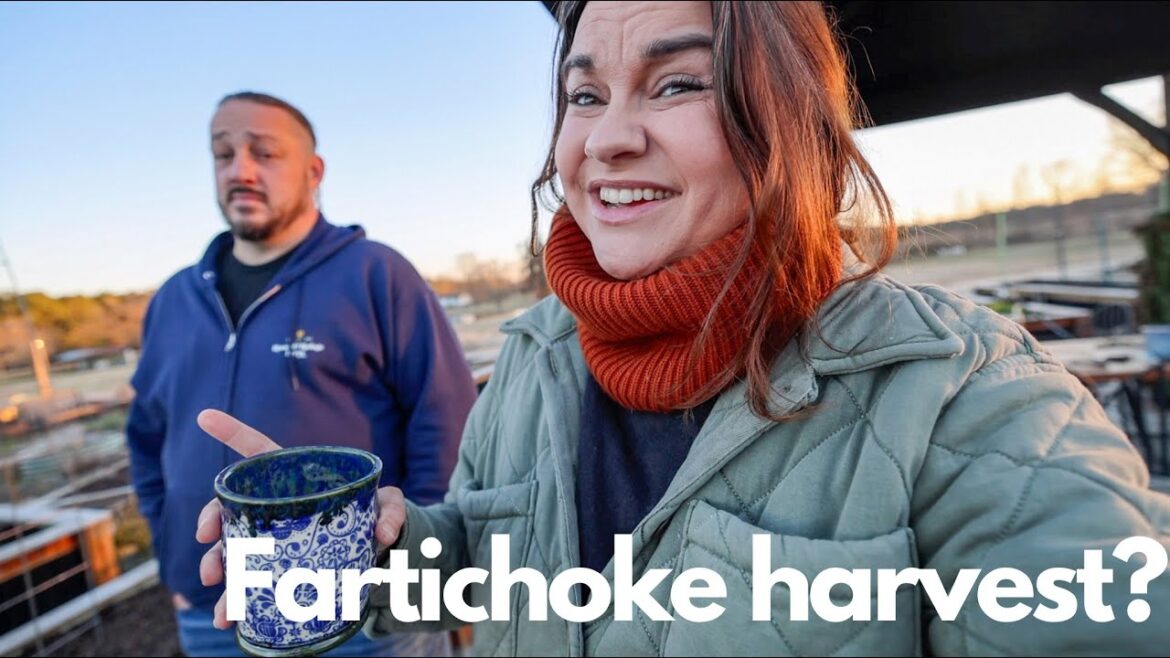 Roots and Refuge Farm: Fartichokes? (a little gardening before the freeze) | VLOG Fartichokes? (a little gardening before the freeze) | VLOG