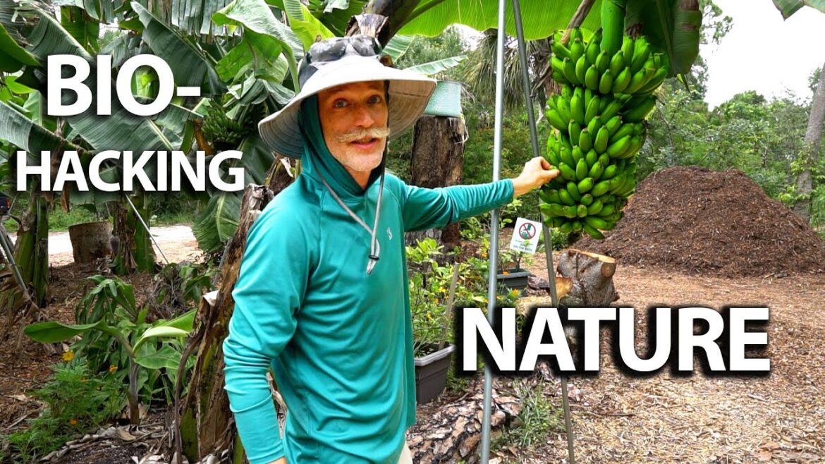 BIO-Hacking Nature! How to Maximize Fertility In Your Florida Food Forest!