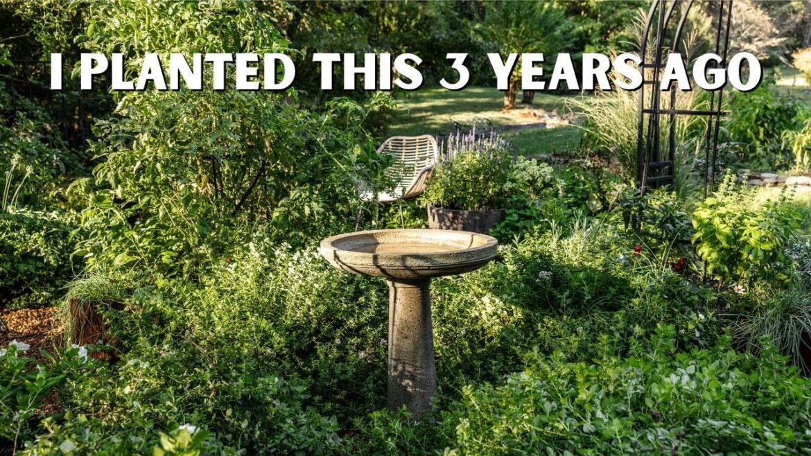 5 Perennials to Plant Once that Will Feed You FOREVER 5 Perennials to Plant Once that Will Feed You FOREVER