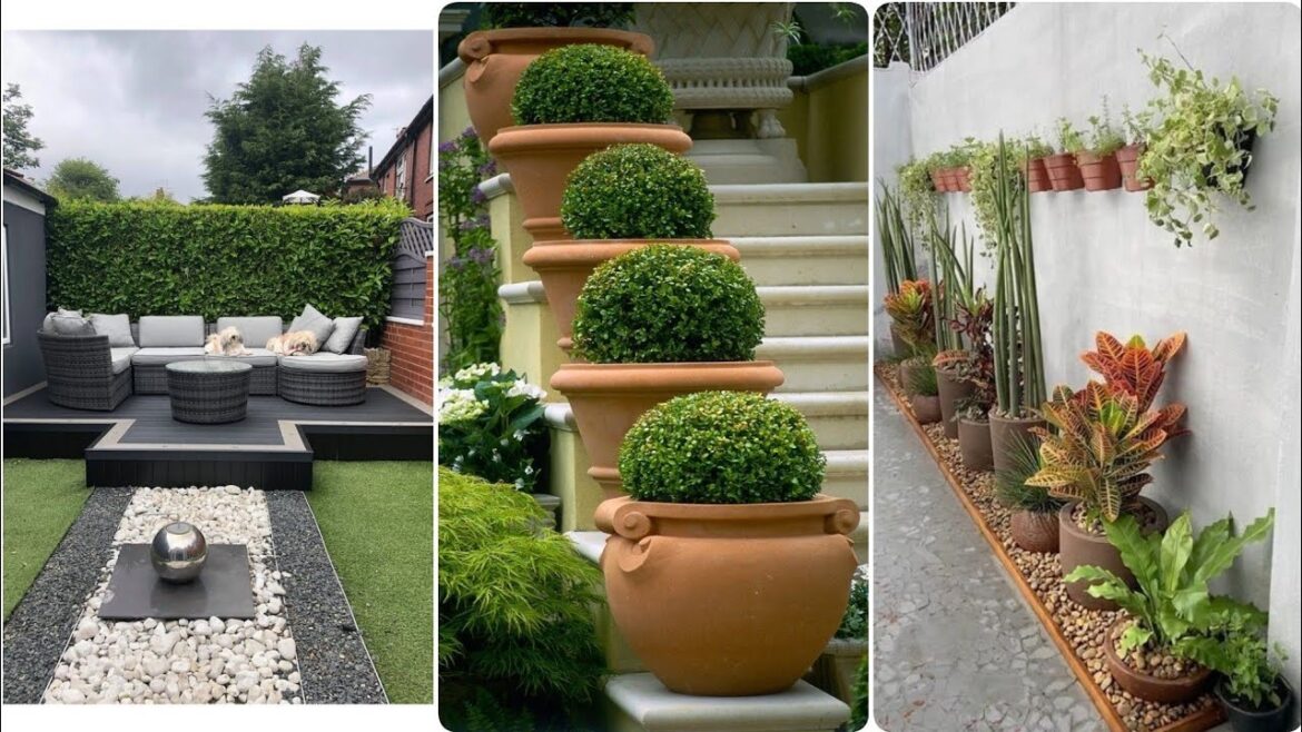 garden design,small garden,garden ideas,garden,small garden design,garden design ideas,small garden garden design,small garden,garden ideas,garden,small garden design,garden design ideas,small garden