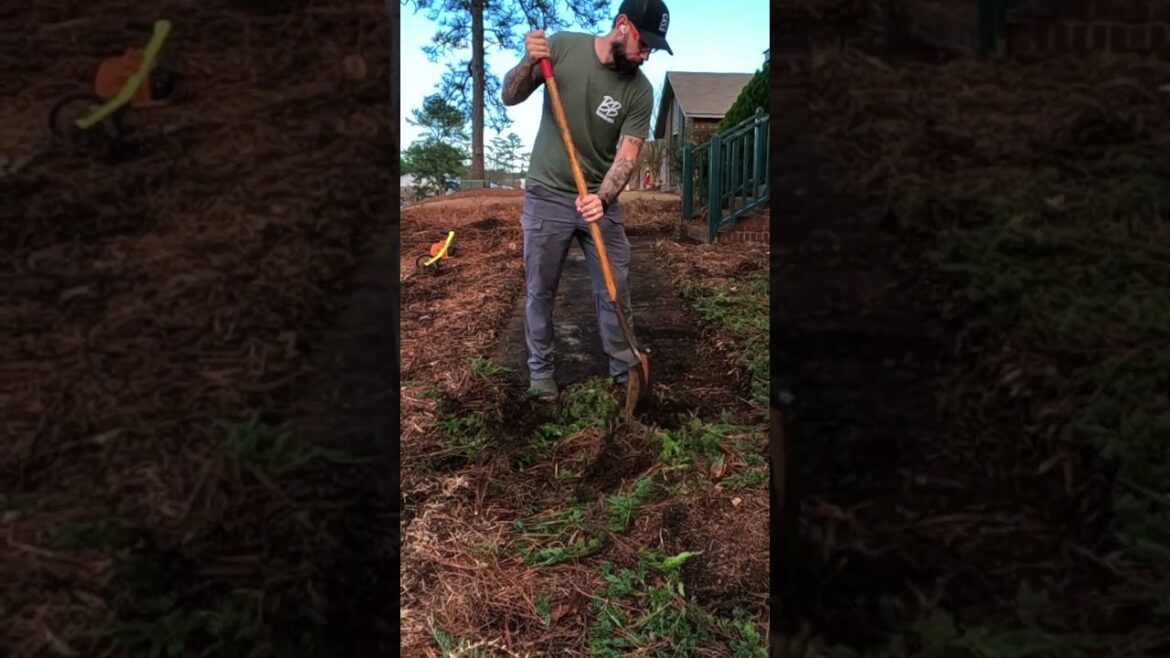 I Didn't REALIZE at first there was a SIDEWALK under there!
