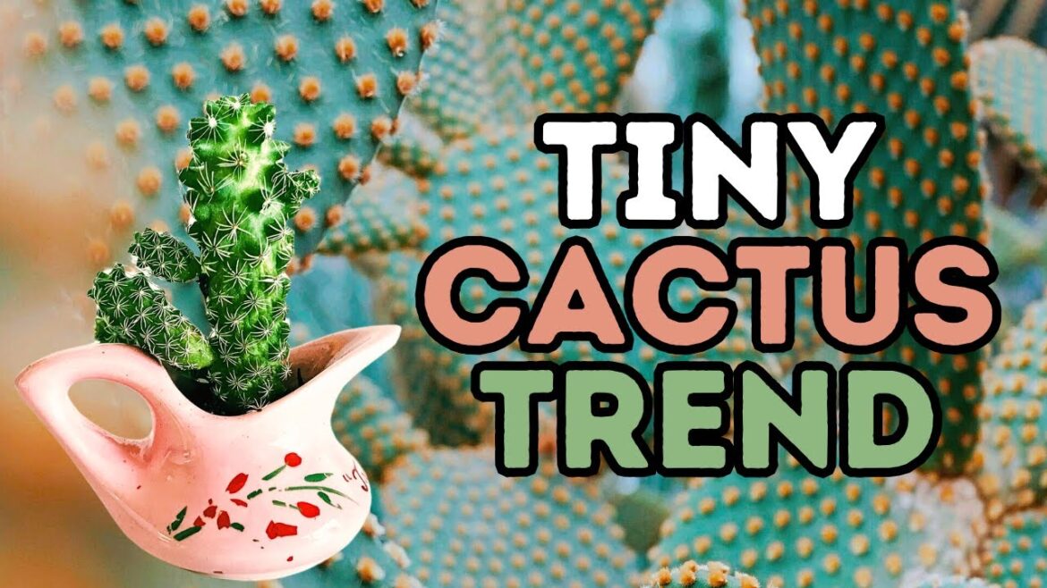 Plant TRENDS 2025 // Houseplant TRENDS to KNOW 🌿 Plant TRENDS 2025 // Houseplant TRENDS to KNOW 🌿