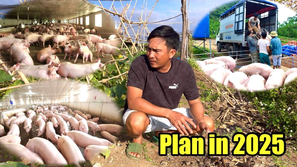 Dad revealed his plans and goals for the new year 2025 - Many difficulties and challenges