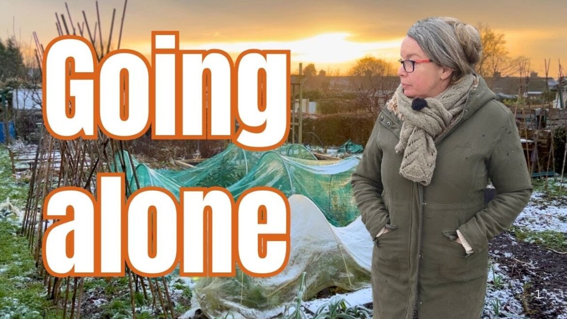 A new chapter in the garden – going solo! A new chapter in the garden - going solo!