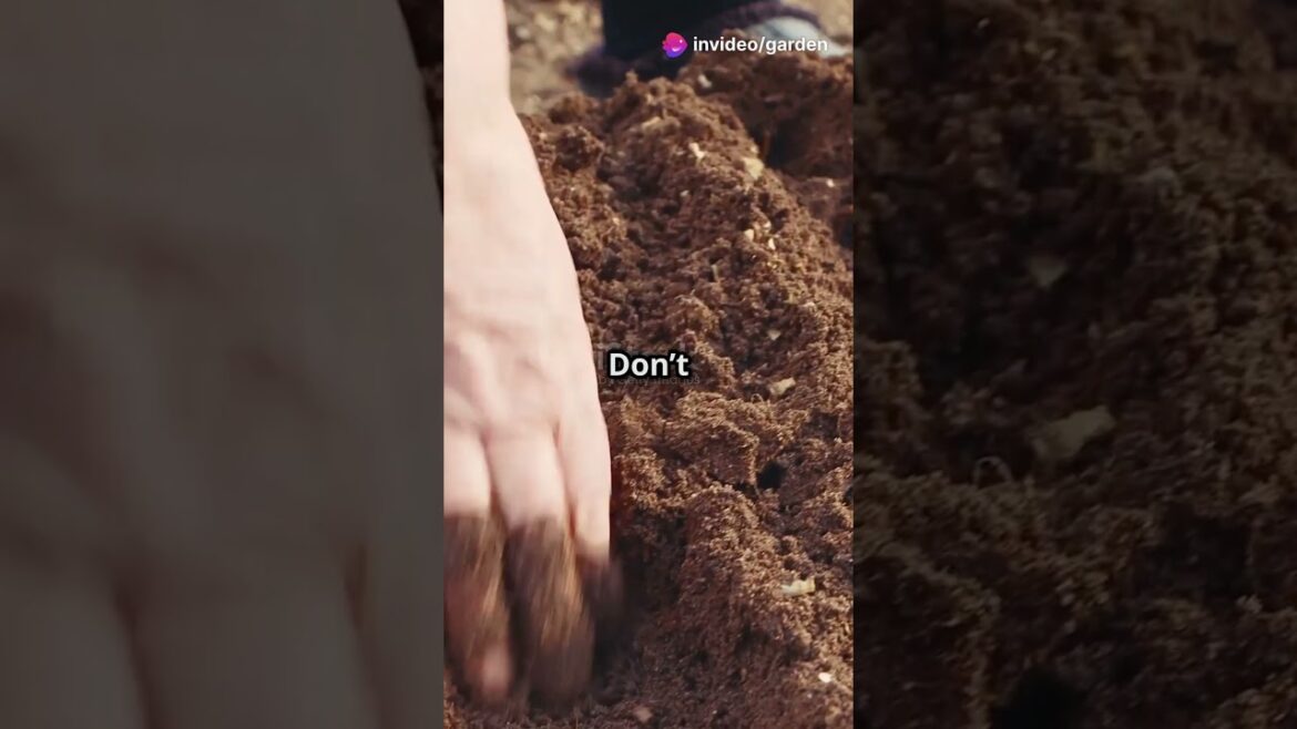 You MUST Sow These Seeds in January #gardeningtips #quickgardening #growyourown #sowingseeds You MUST Sow These Seeds in January #gardeningtips #quickgardening #growyourown #sowingseeds