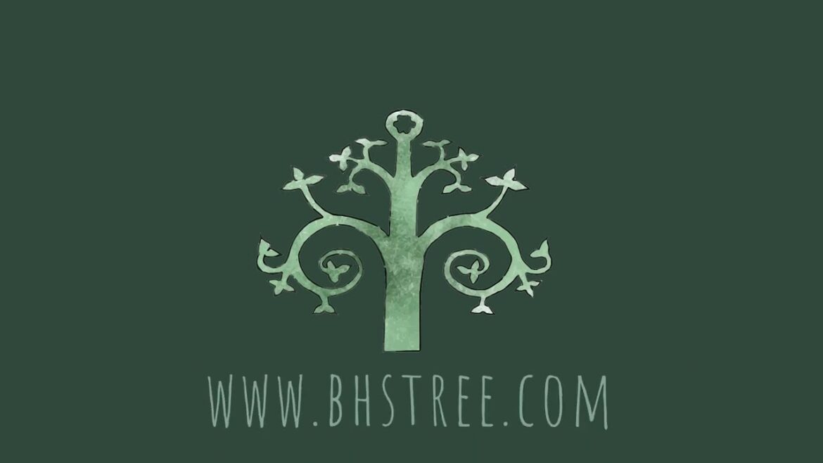 Byleckie Horticultural Services Promo Video