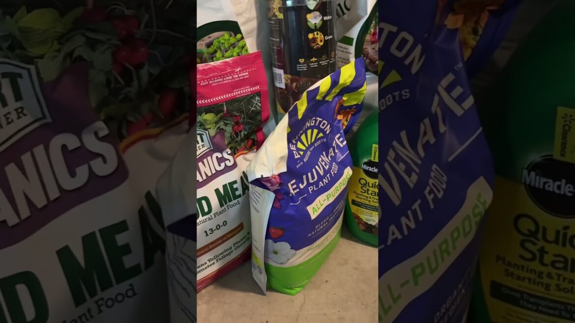 Walmart Clearance Haul #walmart #walmarthaul # #clearancehauls #clearance #walmartfinds