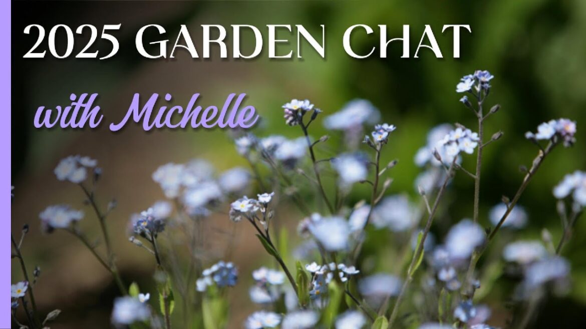 2025 Garden Plans & Reflecting on Last Year’s Landscape Design Successes 2025 Garden Plans & Reflecting on Last Year’s Landscape Design Successes