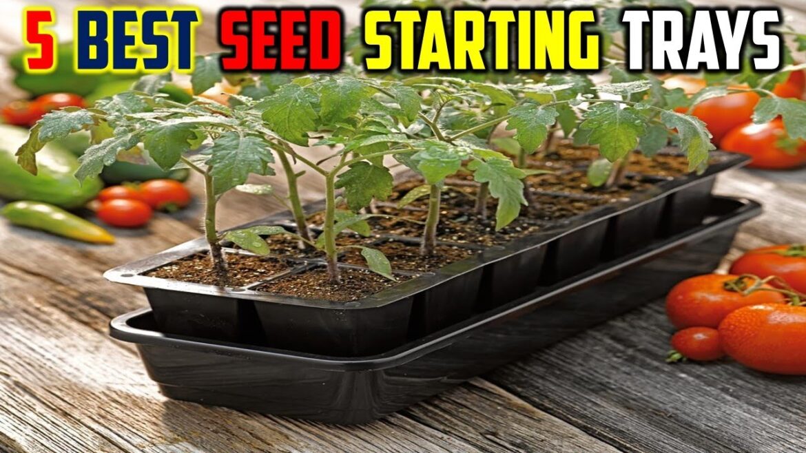 Top 5 Best Seed Starting Trays For 2025   The Best Seed Starting Trays Reviews
