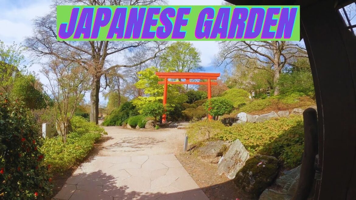Explore The Tranquil Japanese Garden In Kaiserslautern, Germany!