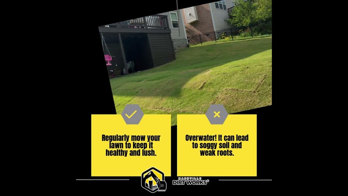 Backyard Bliss or Miss? Let’s Get It Right! Backyard Bliss or Miss? Let’s Get It Right!