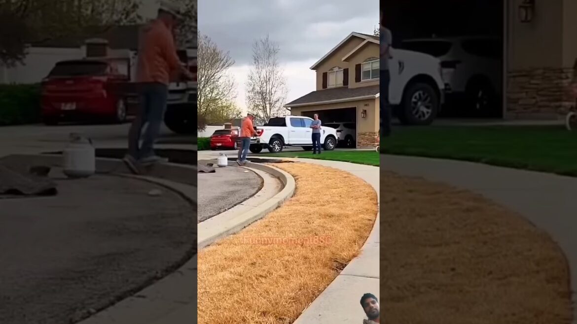 I Spent $20,000 On The Most Viral Gardening Products #garden #gardening  #factmoment1 #factadda1m