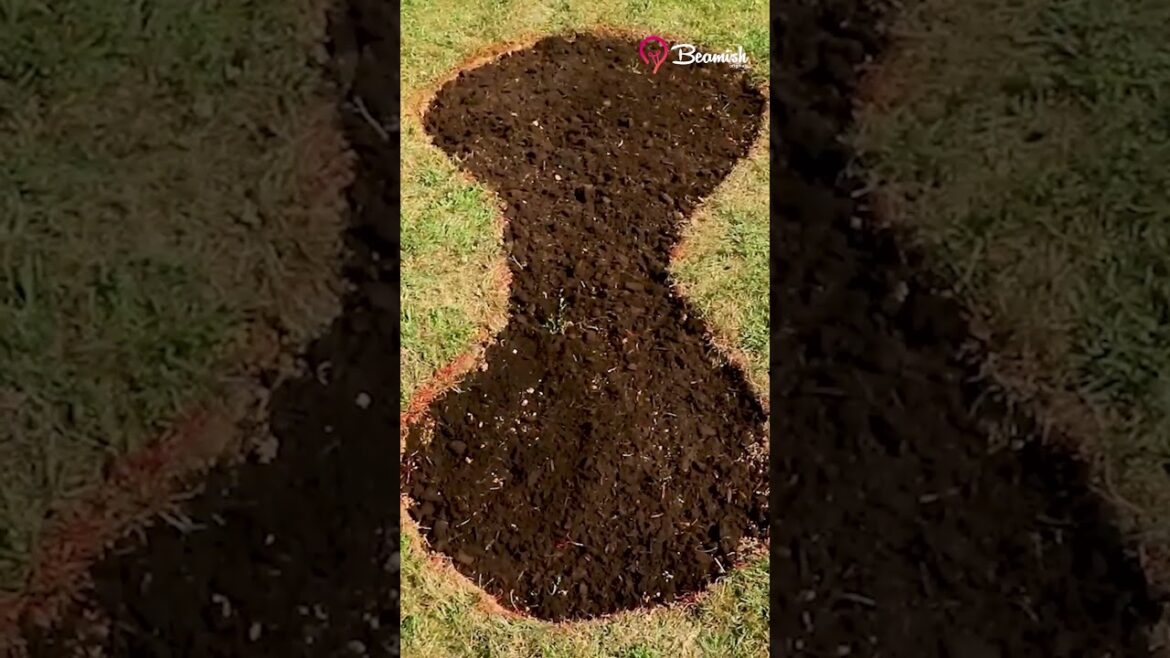 Turn Your Garden into a Masterpiece: Shape is Key! #gardendesign  #shortsyoutube #garden