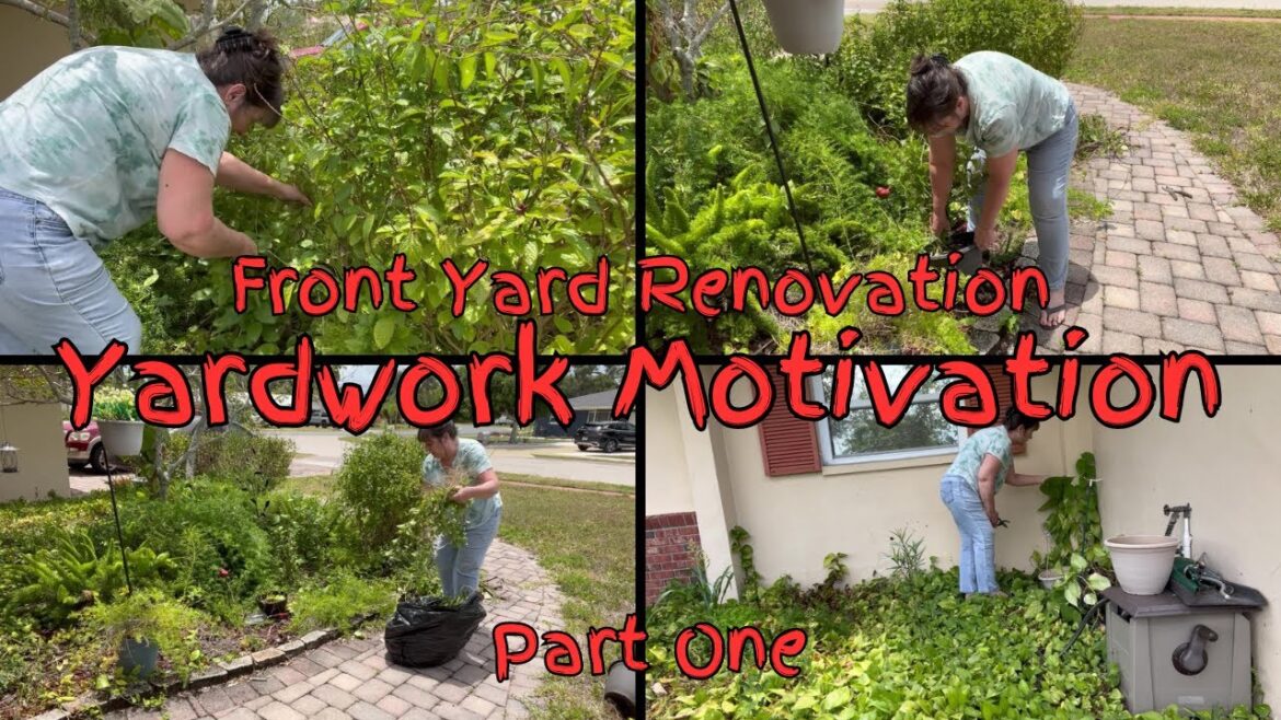 Create the Front Yard Garden of Your Dreams: Join Me in a Renovation of the Front Yard Create the Front Yard Garden of Your Dreams: Join Me in a Renovation of the Front Yard