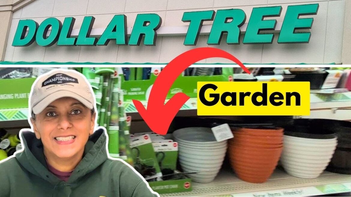 Dollar Tree Garden Supplies Are In! | Shop With Me || Budget Gardening