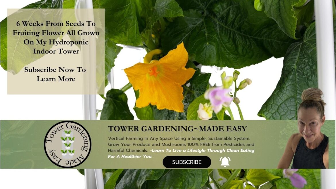 Tower Garden~Made Easy 6 Weeks From Seeds To Fruiting Vegetables    Subscribe Now To Learn How..