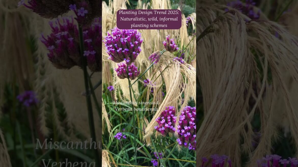 Planting Design Trend 2025: Naturalistic, wild, informal planting schemes Planting Design Trend 2025: Naturalistic, wild, informal planting schemes