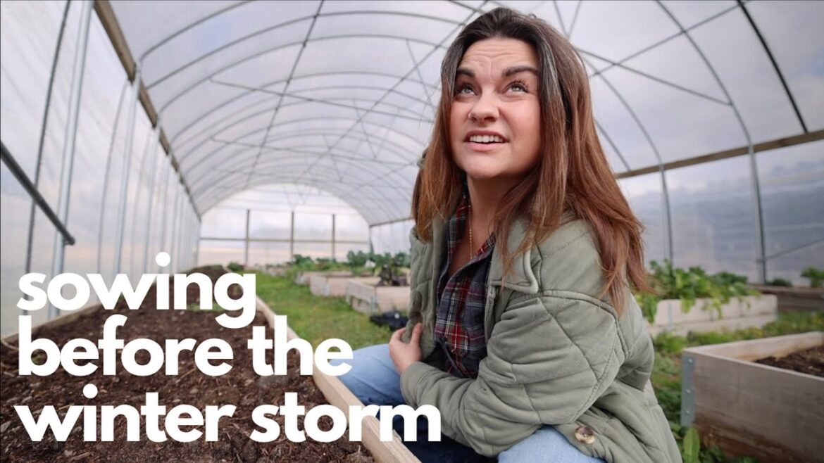 Roots and Refuge Farm: YouTube is my planting record (How to know what to plant)| VLOG YouTube is my planting record (How to know what to plant)| VLOG