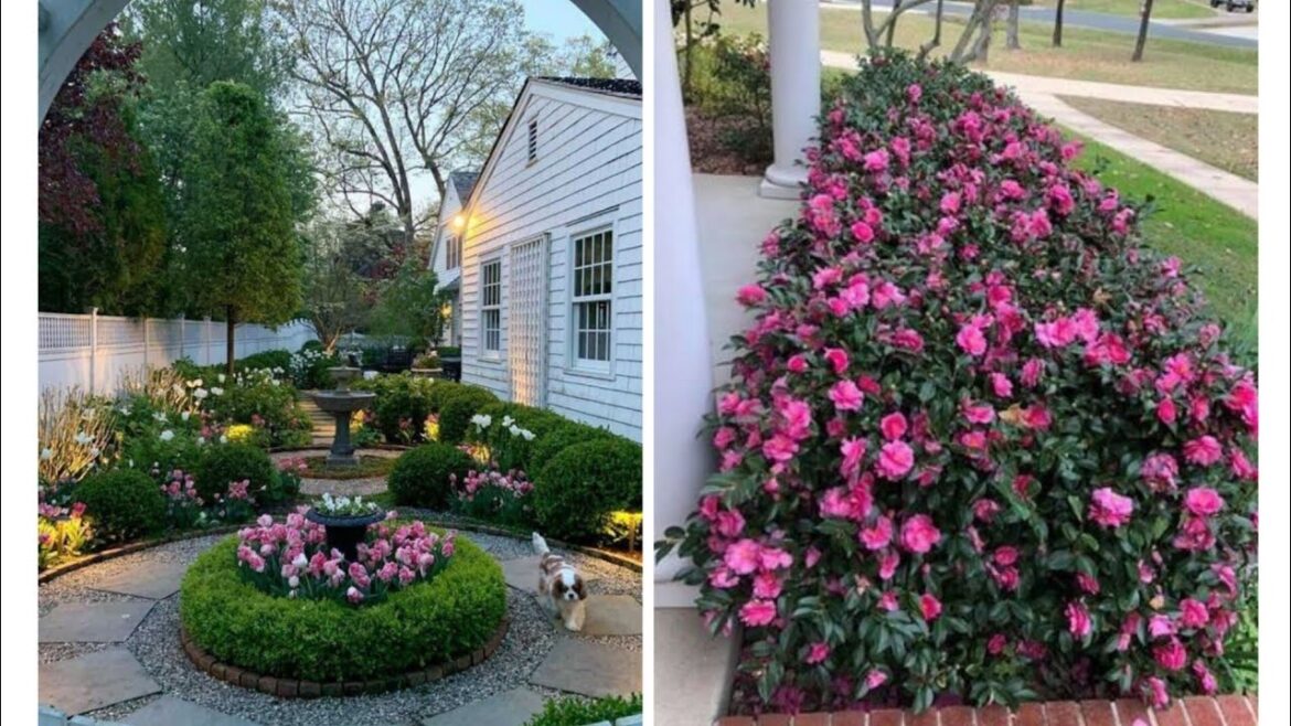 Ideas for small garden design | Small yard landscaping ideas