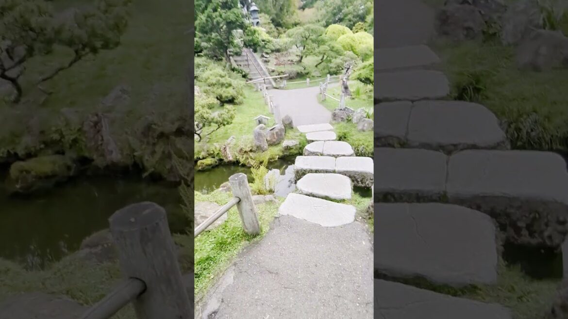 Do Not Miss This Japanese Tea Garden in San Francisco