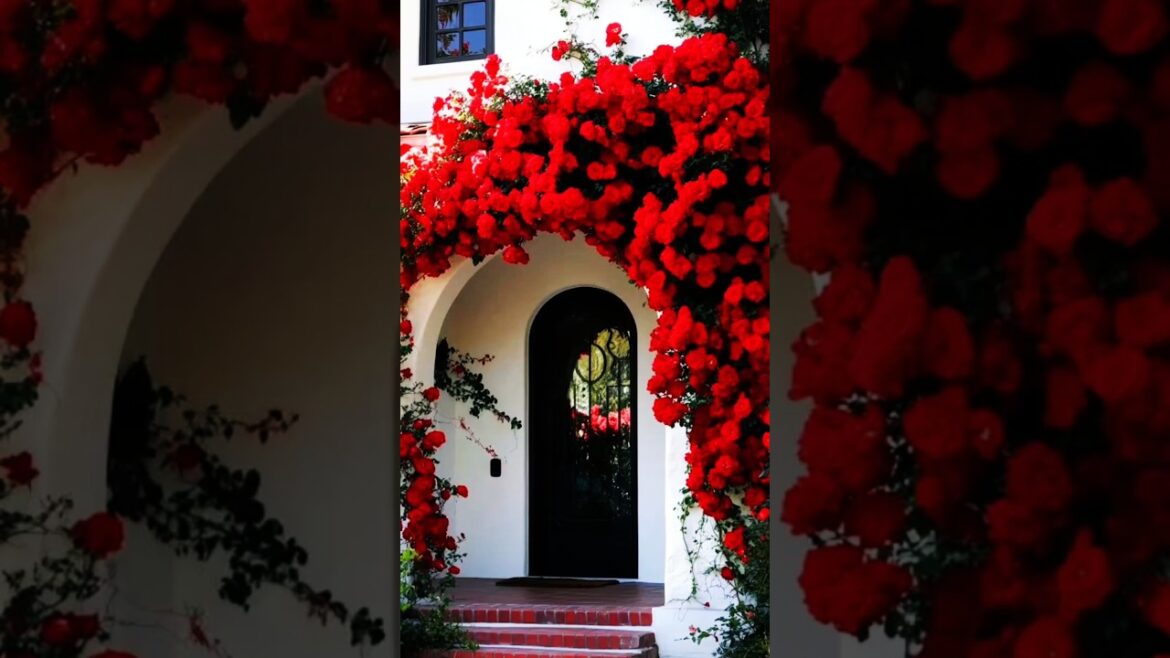 Garden Decorations ideas 🌴🌷🦩🦜🌿🦋🍄🐞🌈 #garden #entrancedecor #flowers #homeentrance #shorts