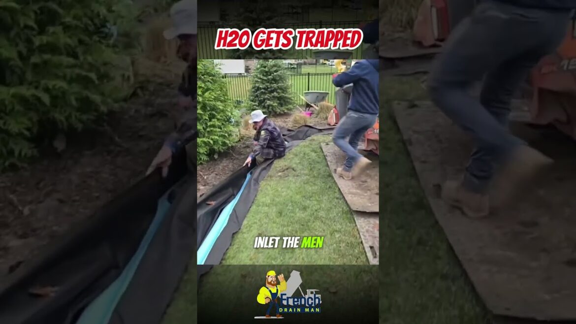 Catch Trapped Water in Landscapes with Perimeter Drains