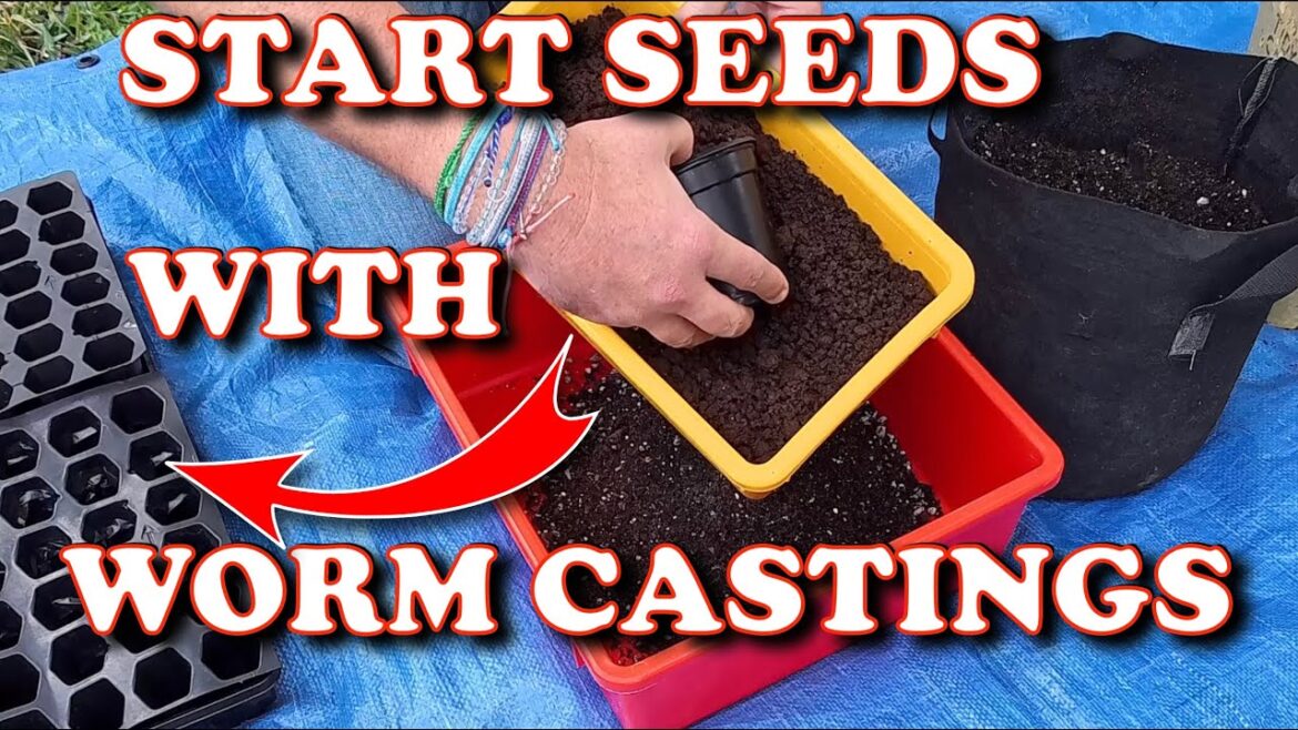 How I Make Seed Starting Mix With Worm Castings| Vermicompost Worm Farm