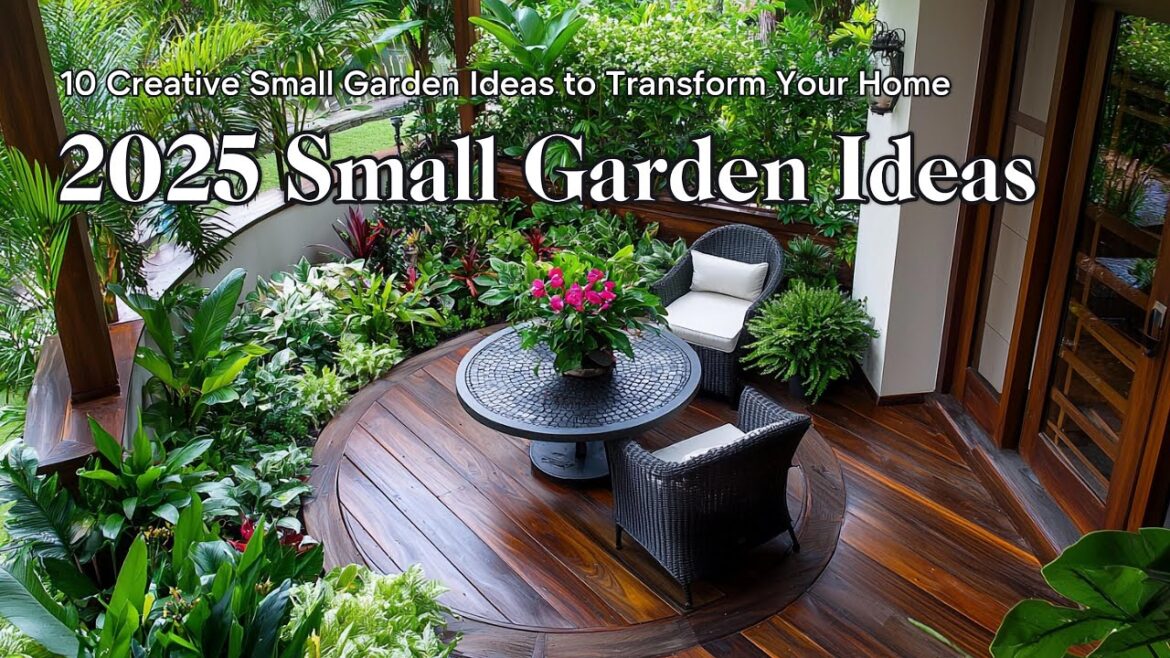 2025 Small Garden Ideas: How to Maximize Your Space with Beautiful Plants 2025 Small Garden Ideas: How to Maximize Your Space with Beautiful Plants