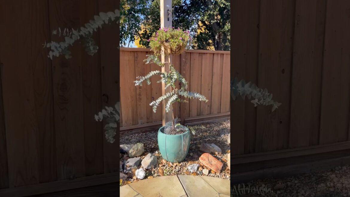 Chicken wire garden hack #gardener  #gardeningtips #garden #gardening #gardentour #plants #tips #diy