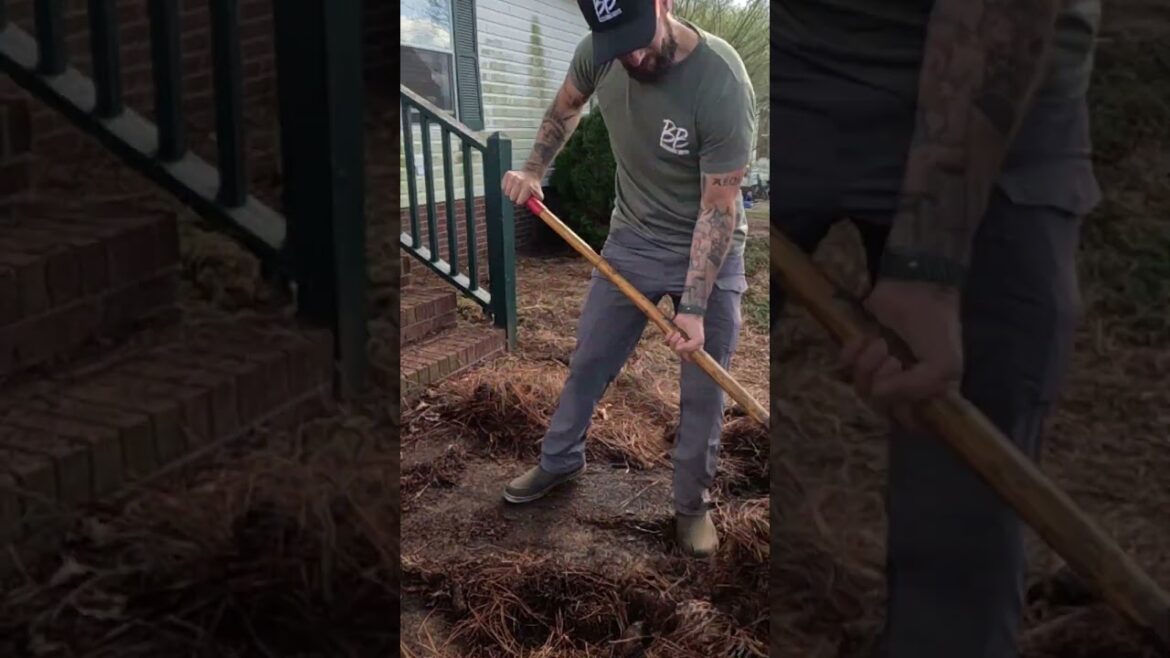 Her Neighbor Reached out for Help!