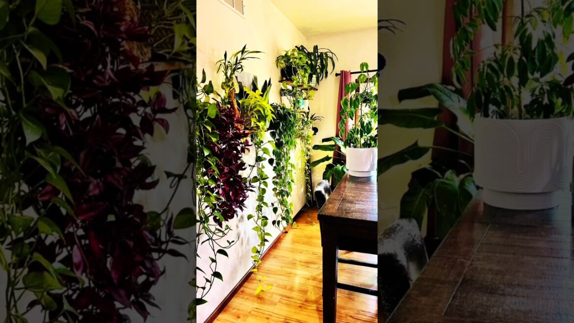 Pothos (Money Plant) Decor 💚🌱 #pothosplant #pothos #shorts