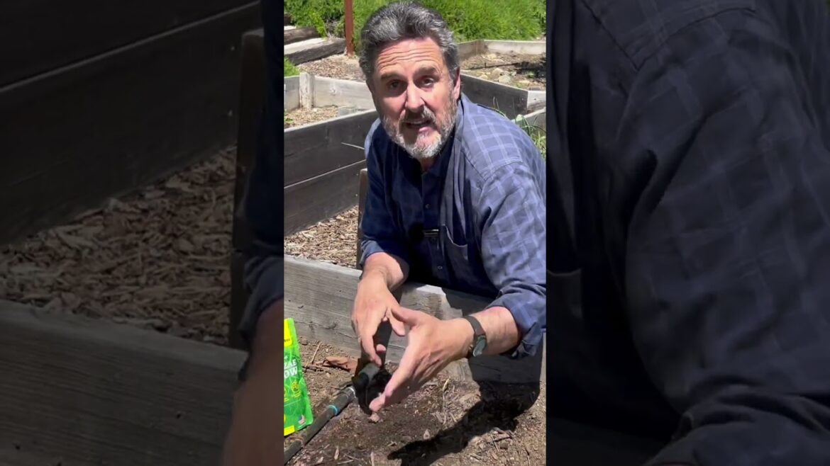 Mycorrhizal Fungi Root Grow All Natural Mycorrhizae for Plants Review