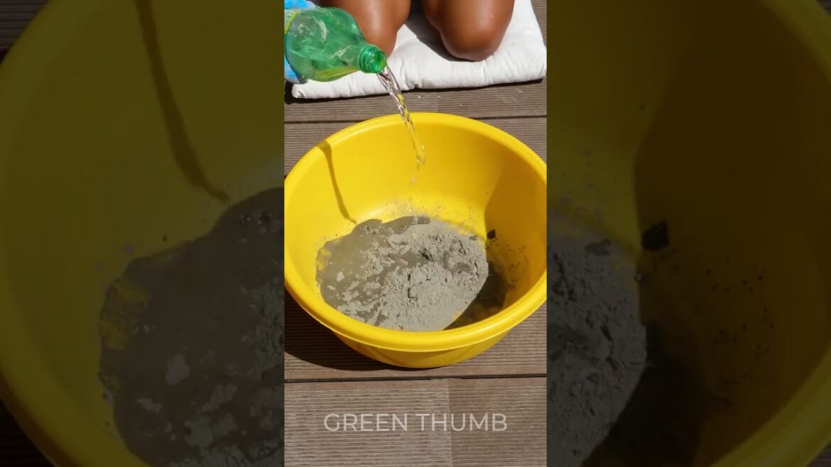 Let’s repeat these easy gardening tips for a great results! Let's repeat these easy gardening tips for a great results!