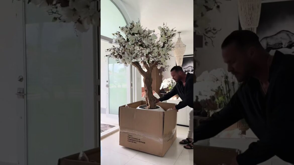 Enchanting Miniature Cherry Blossom Flower Bonsai: Elegant Japanese Floral Art for Your Living Space