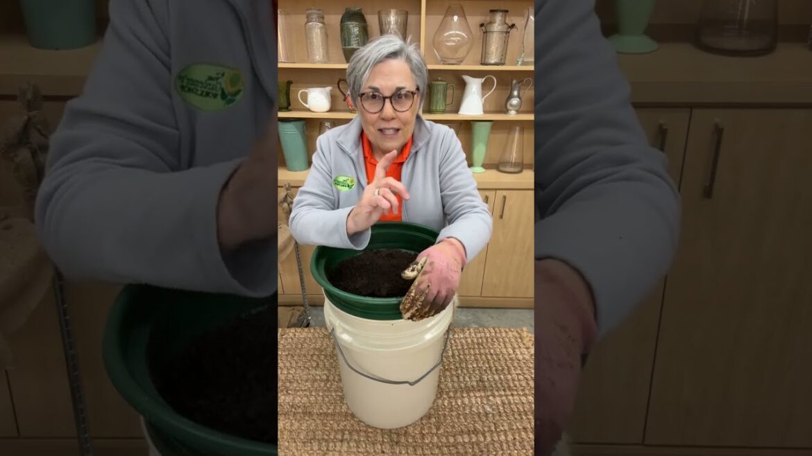 Comment APP to join my show 12noon Fridays! Giveaway, demonstrations, and Comment APP to join my show 12noon Fridays! Giveaway, demonstrations, and