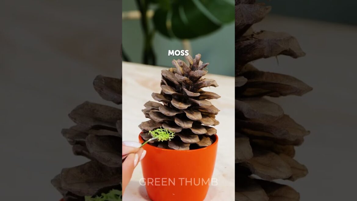 Incredible IndoorPlanting Tips for Cozy Space 🌸 Incredible IndoorPlanting Tips for Cozy Space 🌸