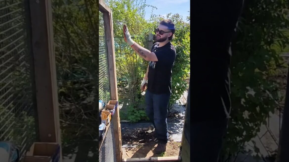 We Made a Door – Alfie’s Agriculture #allotment #gardening #uk #shorts #diy We Made a Door - Alfie's Agriculture #allotment #gardening #uk #shorts #diy