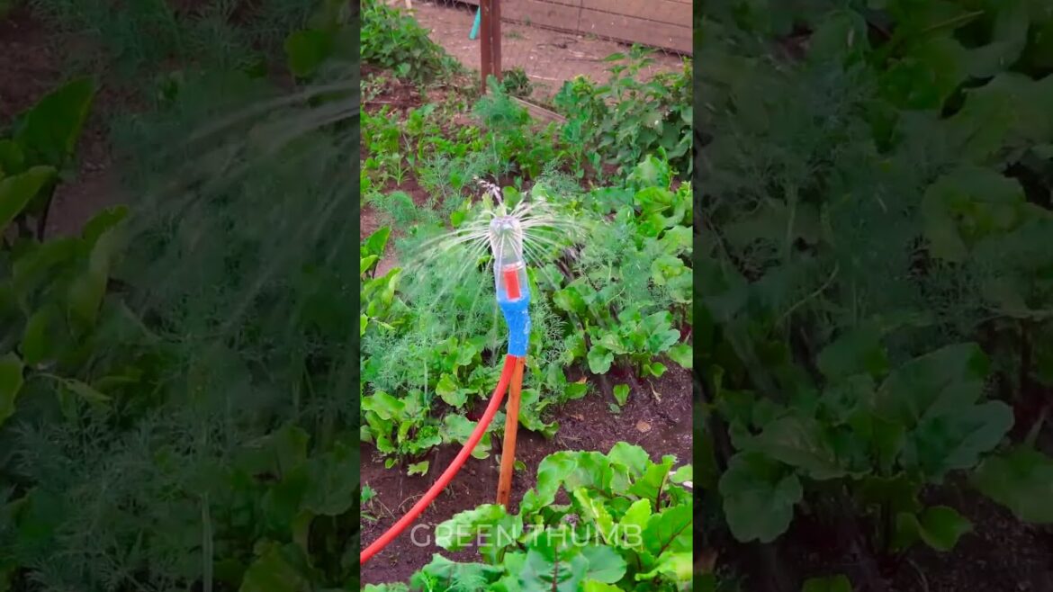 Incredible plant growing tips and tricks to amaze you and your garden! 🌱 Incredible plant growing tips and tricks to amaze you and your garden! 🌱