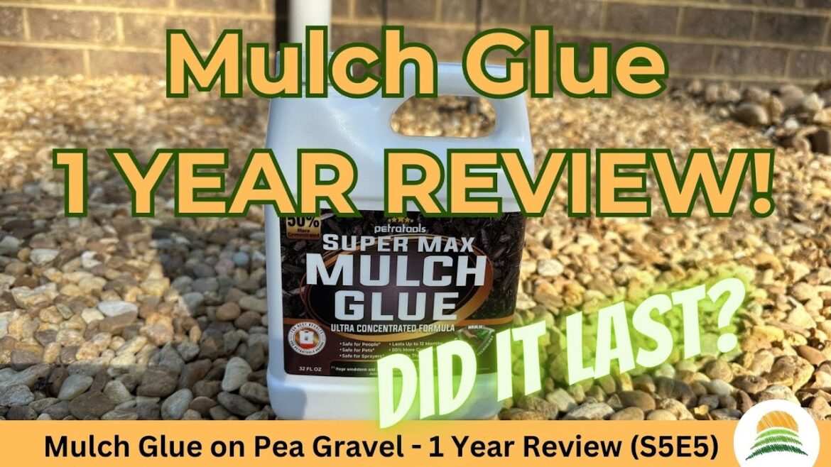 Mulch Glue on Pea Gravel - 1 Year Review ☀️ (S5E5)