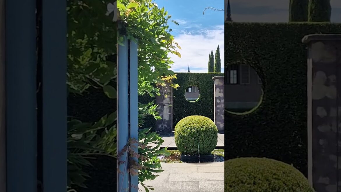 Transform your garden with paint...