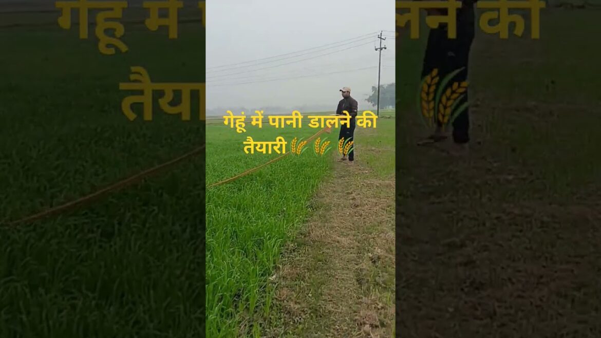 The Future of Gardening: 2025 Trends in Agriculture & Gardening।।खेती बाड़ी, #मुकुंद गौशाला The Future of Gardening: 2025 Trends in Agriculture & Gardening।।खेती बाड़ी, #मुकुंद गौशाला