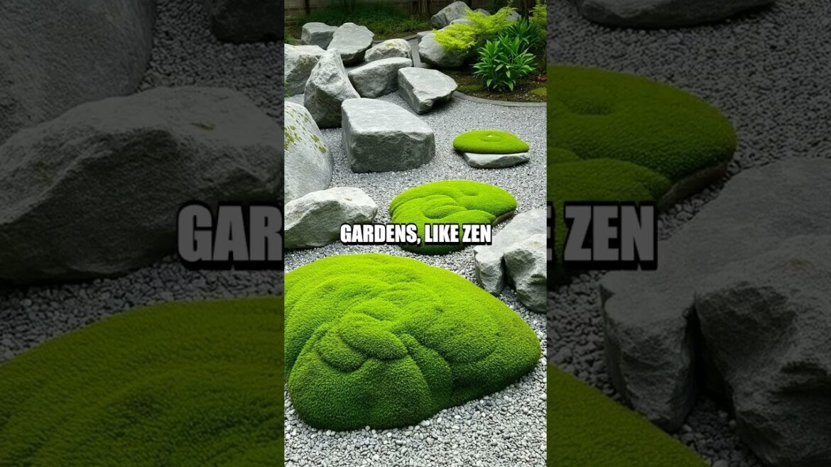 The Art and Philosophy Behind Japanese Gardening The Art and Philosophy Behind Japanese Gardening