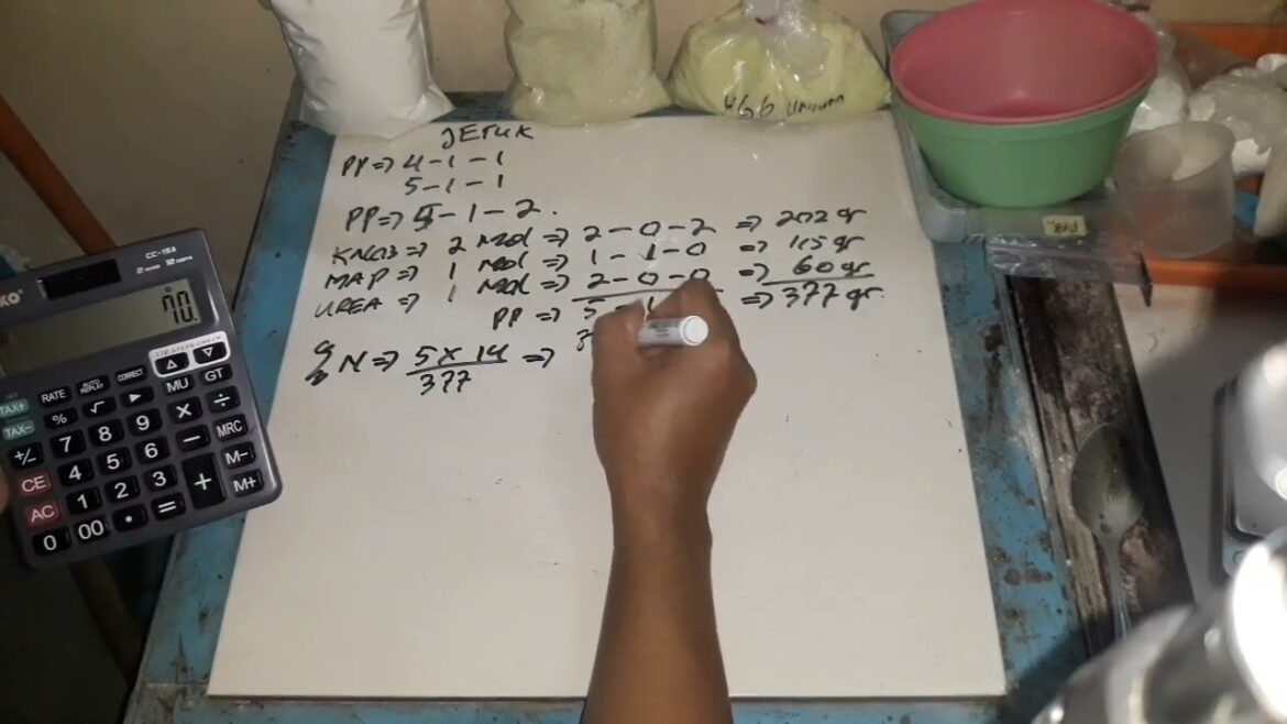 Nutrisi Pupuk Jeruk Fase vegetatif